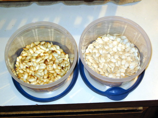 Pumpkin Seeds